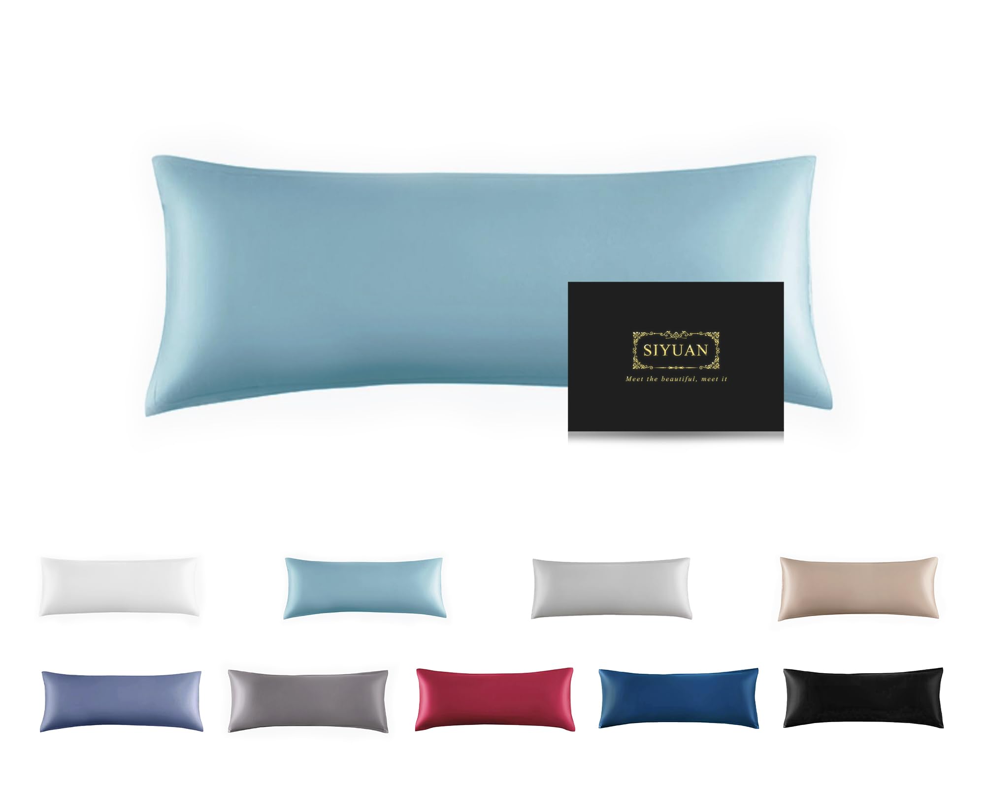 Mulberry Silk Pillowcase for Hair and Skin - Cooling Silk Pillow Case with Hidden Zipper, Allergen Proof Dual Sides Soft Breathable Smooth Silk Pillow Cover for Women (Aqua Blue)