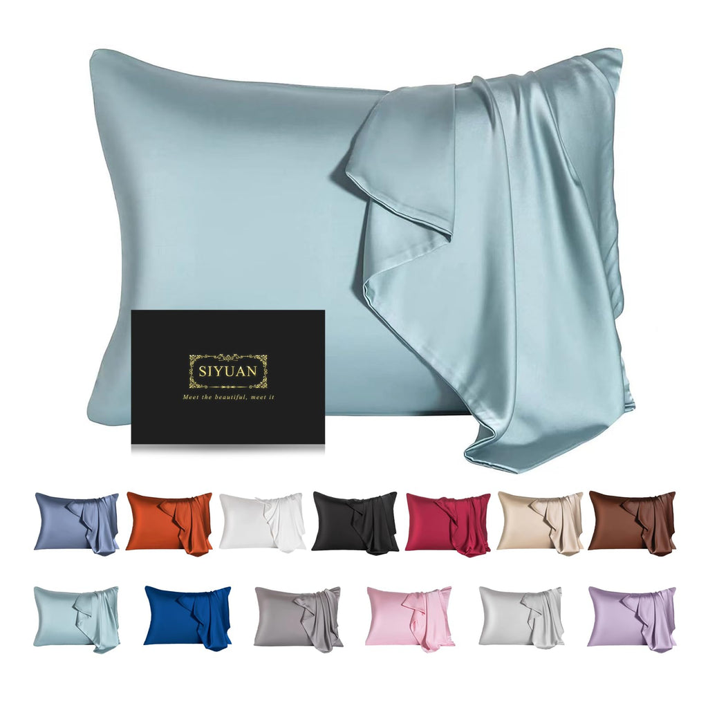 Mulberry Silk Pillowcase for Hair and Skin - Cooling Silk Pillow Case with Hidden Zipper, Allergen Proof Dual Sides Soft Breathable Smooth Silk Pillow Cover for Women (Aqua Blue)